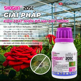 Giải pháp phòng trừ nhện đỏ, bảo vệ hoa hồng khỏe đẹp