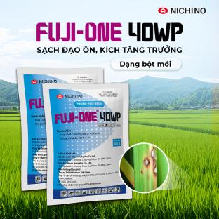 Đạo ôn lá: Giải pháp phòng trừ, bảo vệ sức khỏe cây lúa và năng suất mùa vụ