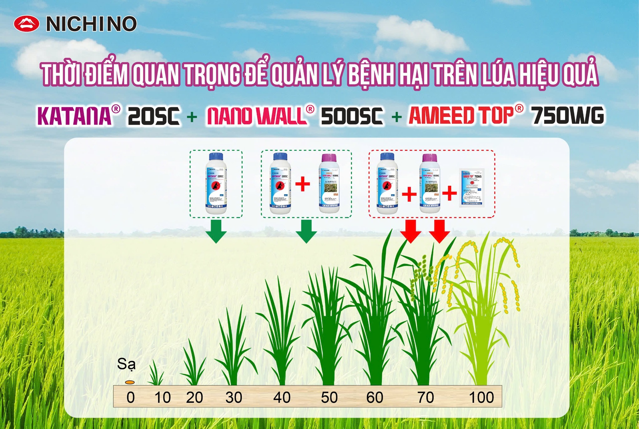 Katana 20sc - bộ ba trị bệnh lúa hiệu quả Katana 20sc - bộ ba trị bệnh lúa hiệu quả